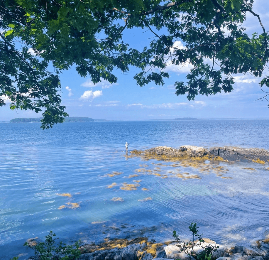 Full width image