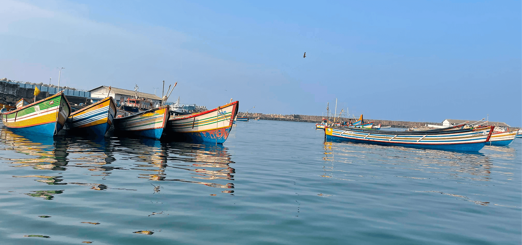 Full width image