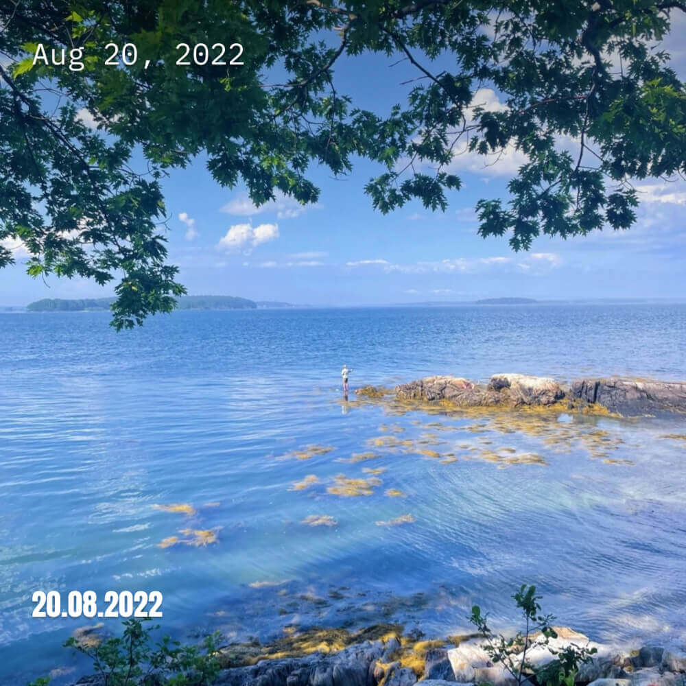 Blog 17