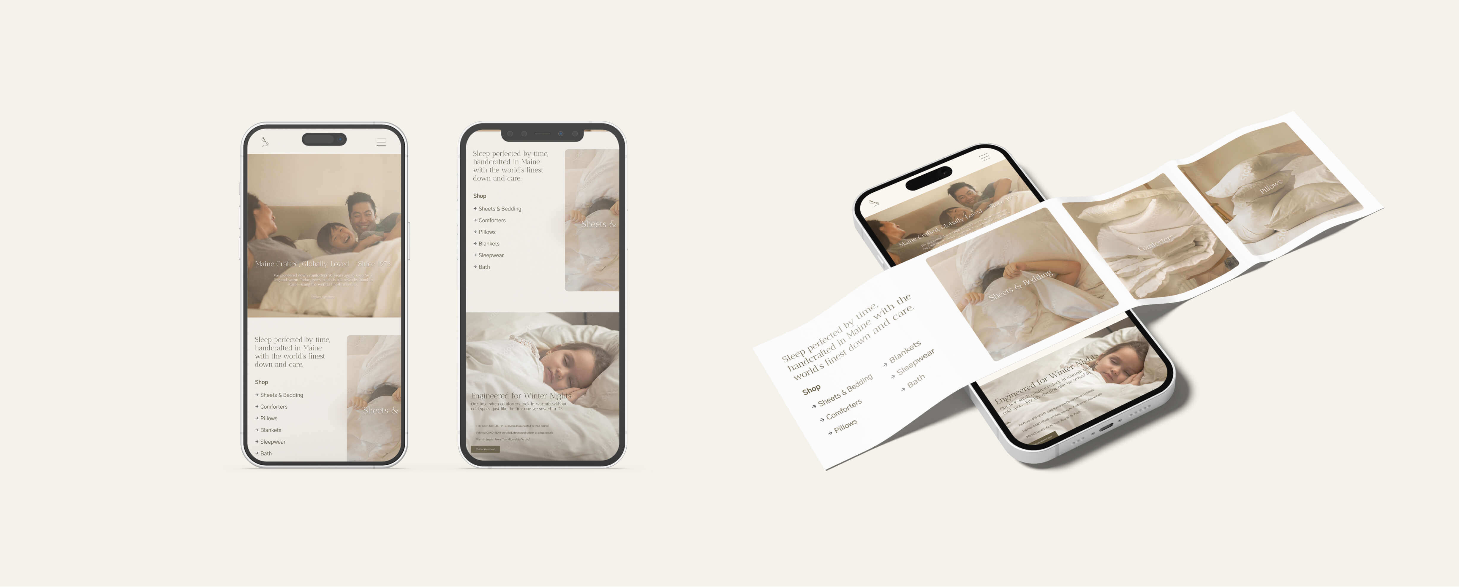 Web Design 2