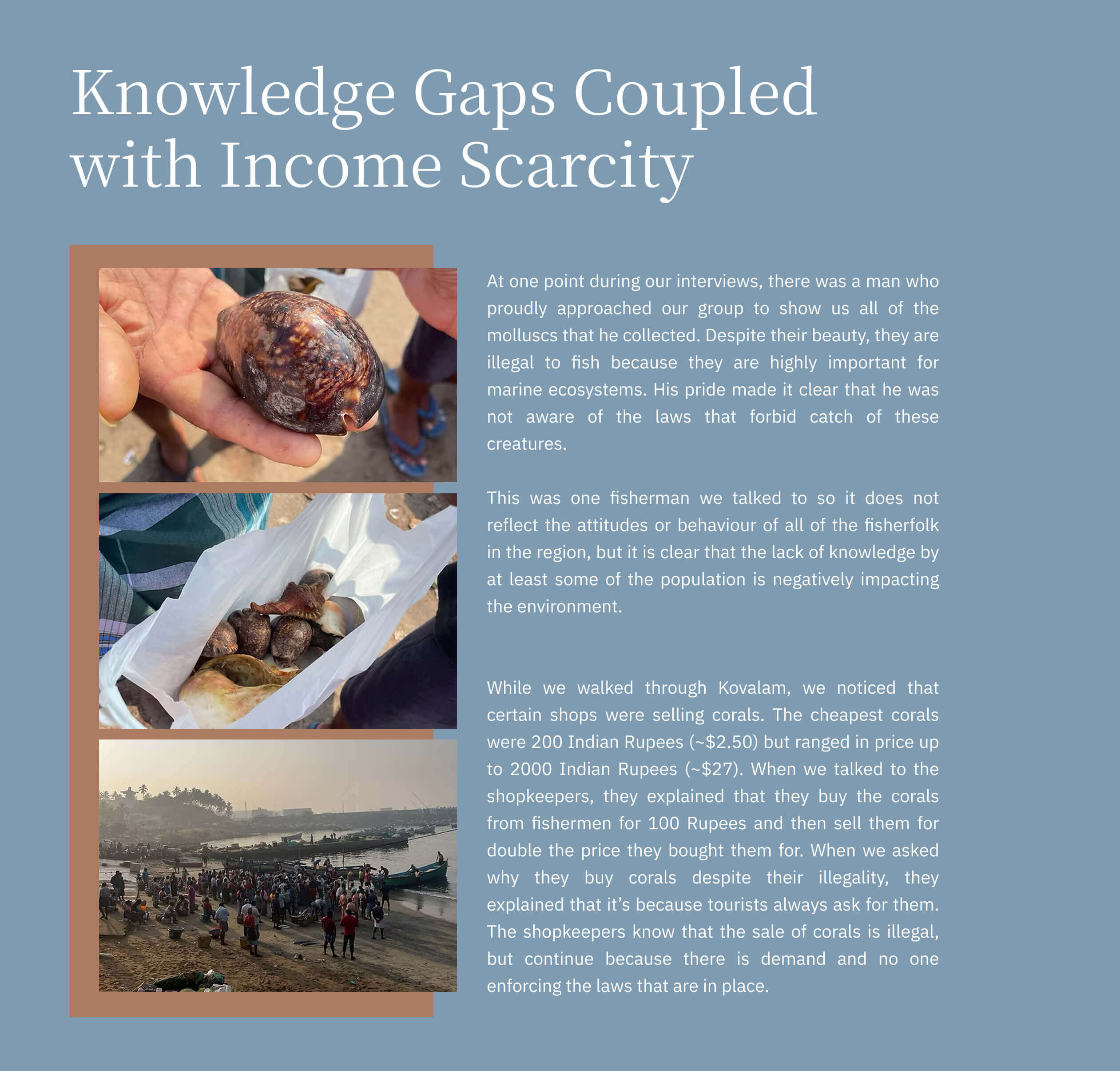 Research Piece